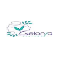 نمونه کار سئو